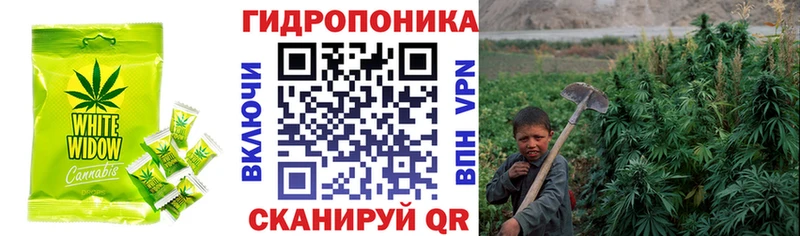 Еда ТГК марихуана  Жиздра 