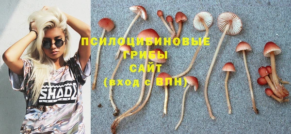 соль курить ск Вязьма